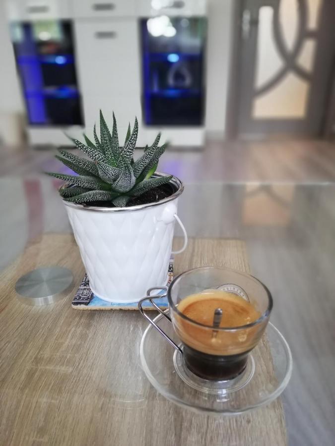 Apartment Ani Велико-Тирново Екстер'єр фото